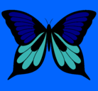 Dibujo Mariposa pintado por eva