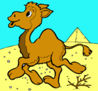 Dibujo Camello pintado por Maxi