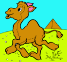 Dibujo Camello pintado por leonor