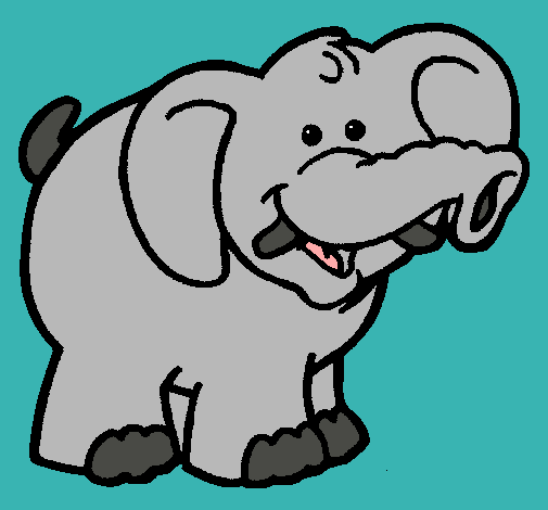 Elefante