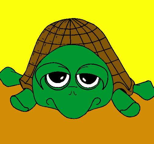 Tortuga