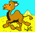 Dibujo Camello pintado por julian