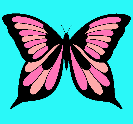 Mariposa