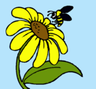Dibujo Margarita con abeja pintado por ROSSY