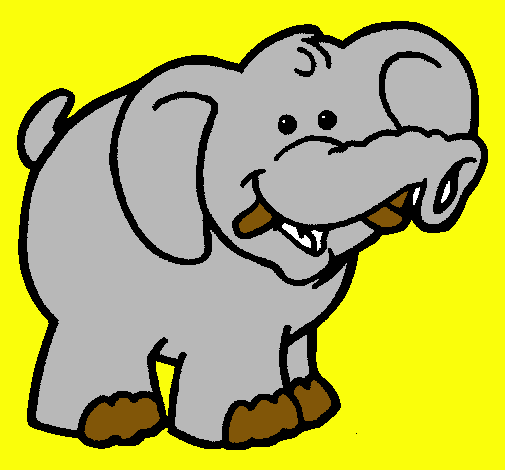 Elefante