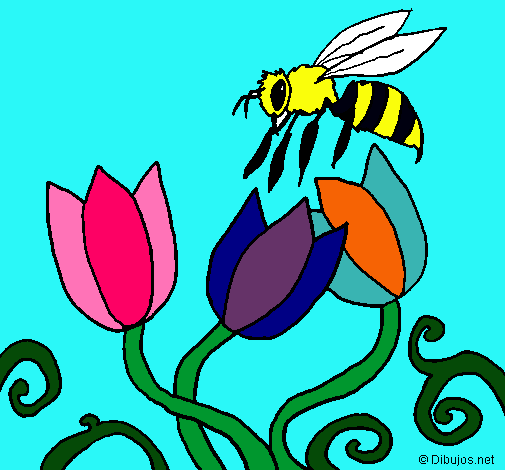 Abeja