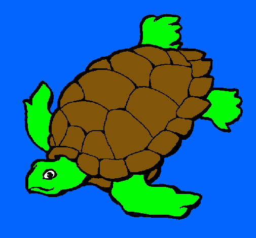 Tortuga