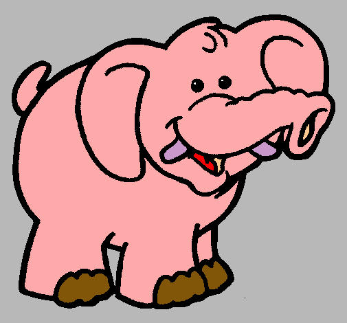 Elefante