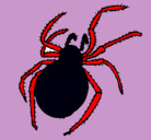 Dibujo Araña venenosa pintado por salvador