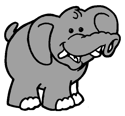 Elefante