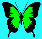 Dibujo Mariposa con alas negras pintado por yaizalaxula