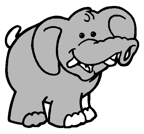 Elefante