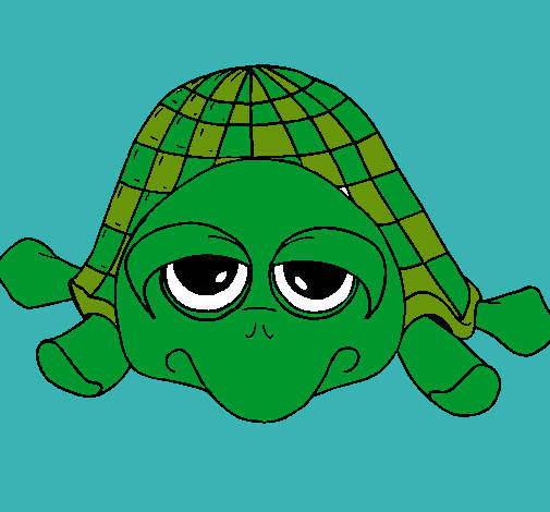 Tortuga