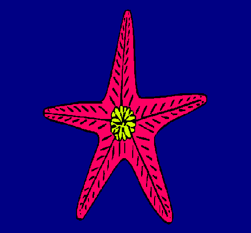 Estrella de mar