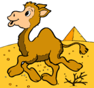 Dibujo Camello pintado por jt