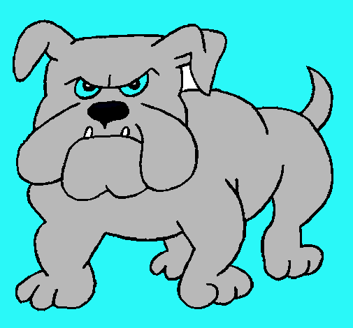 Perro Bulldog