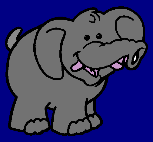 Elefante