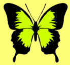 Dibujo Mariposa con alas negras pintado por miguelito