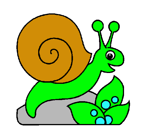 Caracol