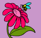 Dibujo Margarita con abeja pintado por babymaro