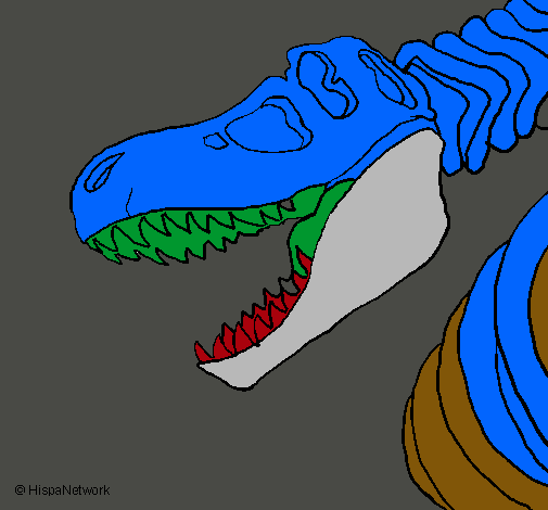 Esqueleto tiranosaurio rex