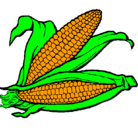 Dibujo Mazorca de maíz pintado por GINA