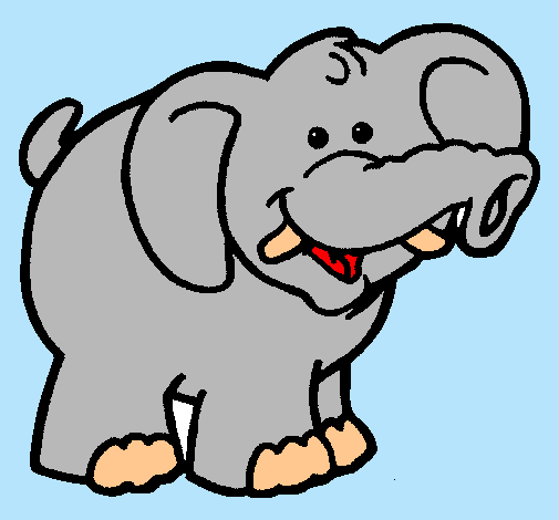 Elefante