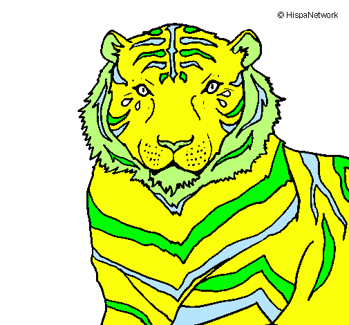 Tigre