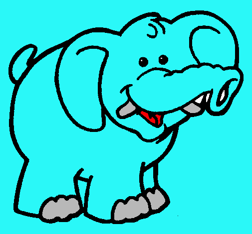 Elefante