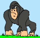 Dibujo Gorila pintado por johan