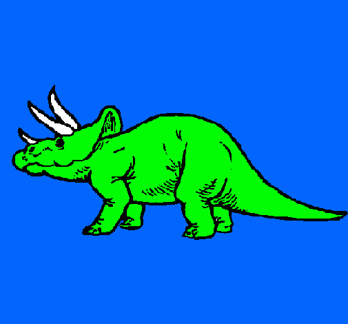 Triceratops