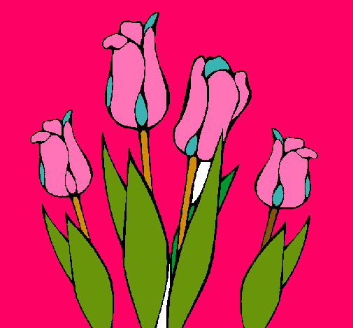 Tulipanes