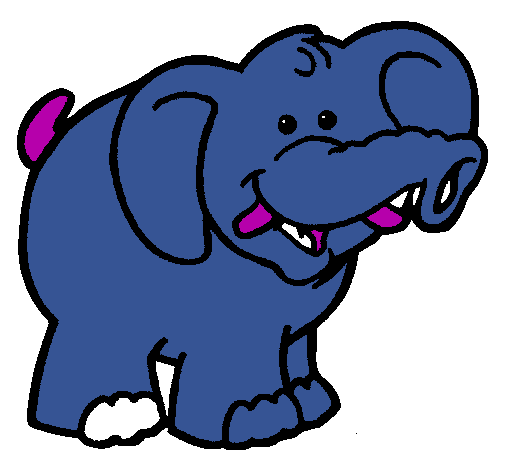 Elefante