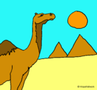 Dibujo Camello pintado por lupis