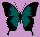 Dibujo Mariposa con alas negras pintado por nicolas
