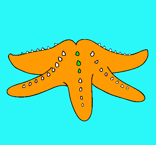 Estrella de mar