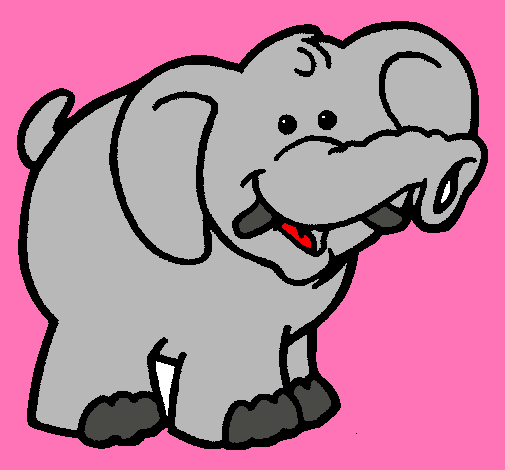 Elefante