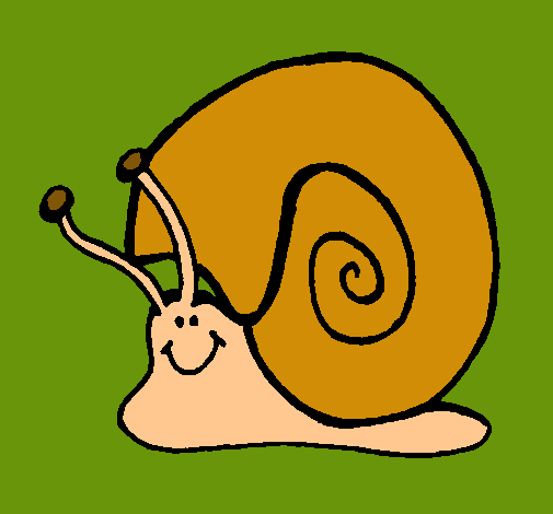 Caracol 