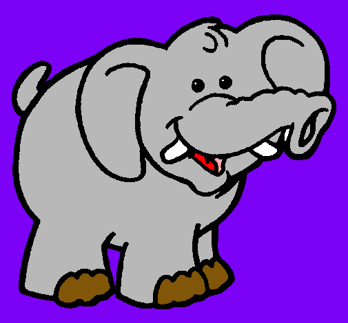 Elefante