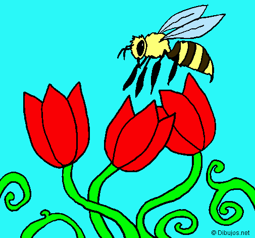 Abeja