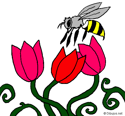 Abeja