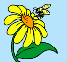 Dibujo Margarita con abeja pintado por ***KARLA123***