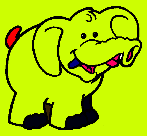 Elefante