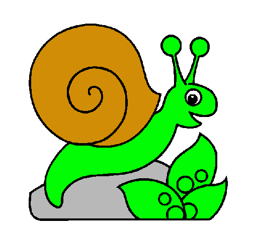 Caracol