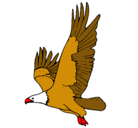 Dibujo Águila volando pintado por pablo