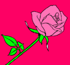 Dibujo Rosa pintado por marianjarumy