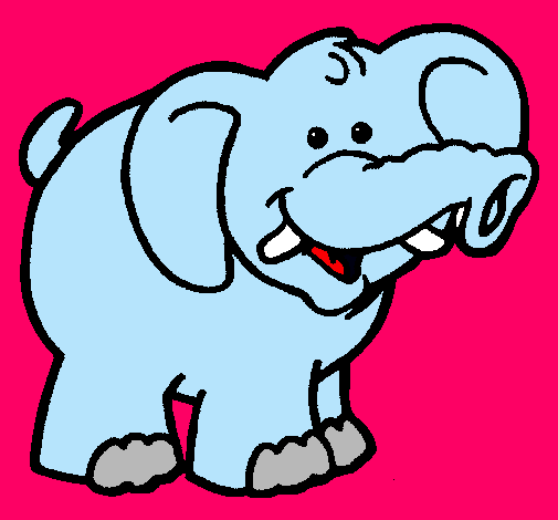 Elefante