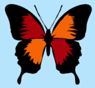 Dibujo Mariposa con alas negras pintado por MARGARITA