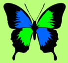 Dibujo Mariposa con alas negras pintado por lupita