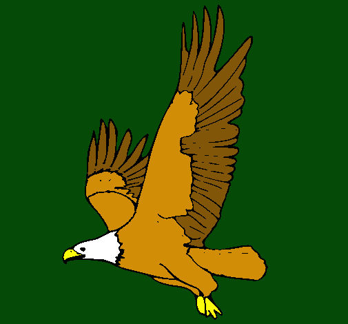 Águila volando